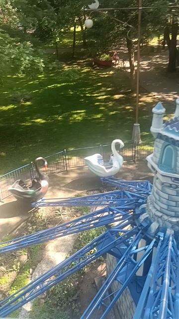 Катаюсь на Аттракционе Гуси-лебеди.