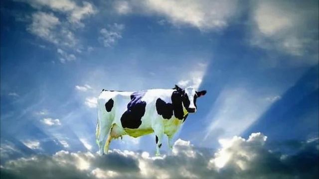 Уникальное Вселенское крещение Мира. 21.01.25.HD смотреть онлайн