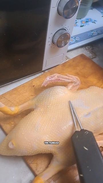 Чистим утку от перьев и пуха за минуту