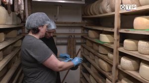 От каменного волокна до сыра: как промтуризм, овечки и молоко меняют жизнь