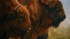 Тайная жизнь зверей Беловежской пущи. Как хищники и травоядные делят древний лес? | Все как у людей