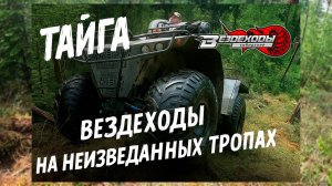 Прокладывая путь ! ВЕЗДЕХОДЫ на неизведанных тропах СИБИРИ!