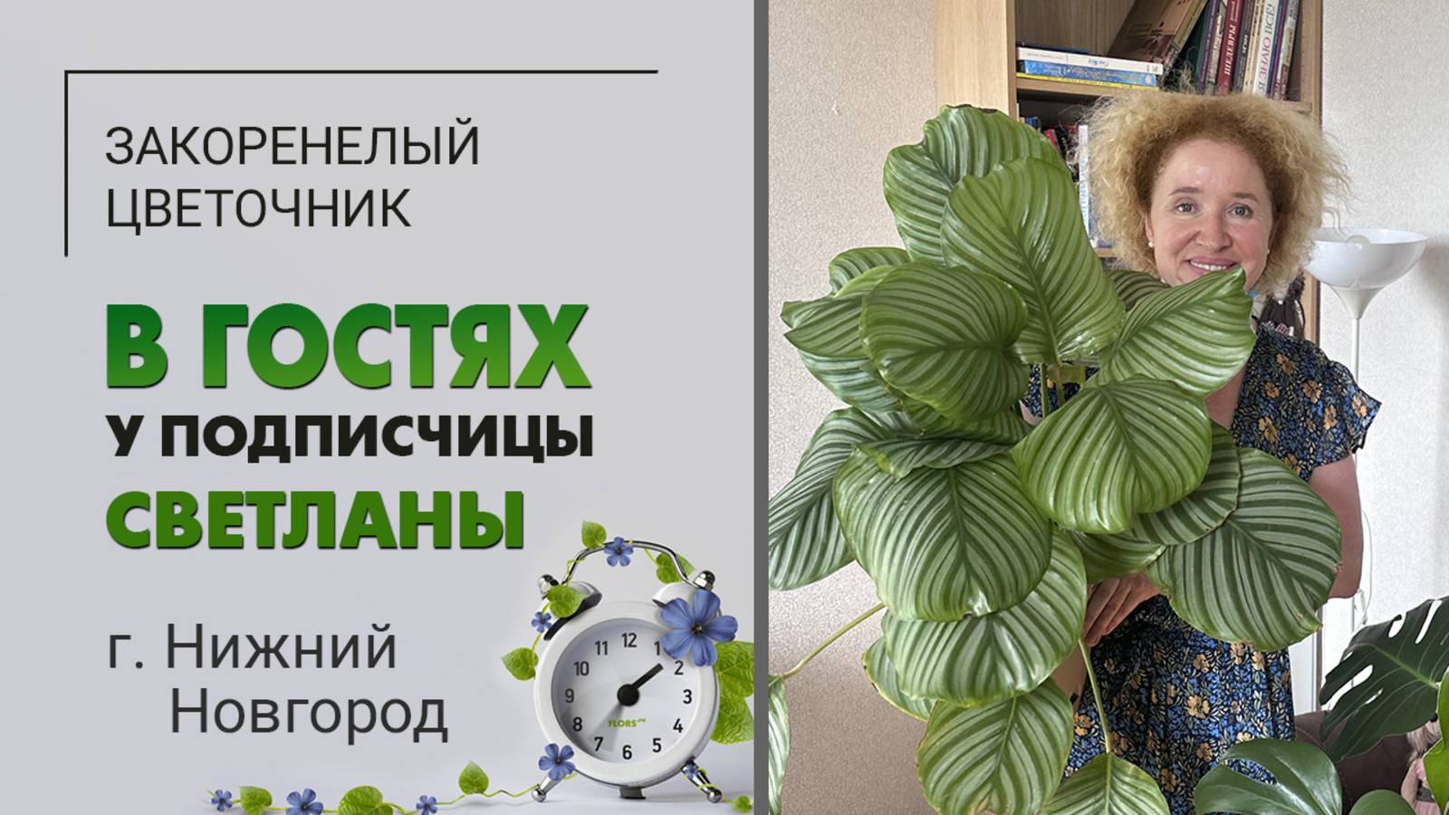 В гостях у Светланы. Нижний Новгород. Шикарная калатея, любимая монстера, пудель и абиссинская кошка