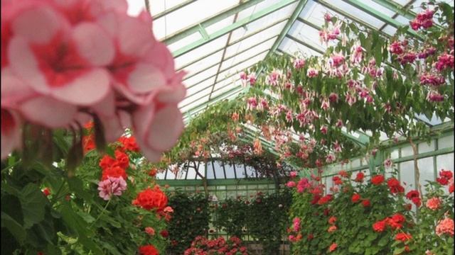 Райский Сад БОГА на Земле. 07.03.25. смотреть онлайн