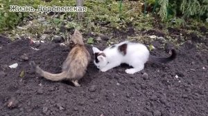 У нас всё хорошо 27.06.25.