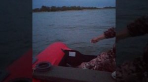 ловля донской селедки