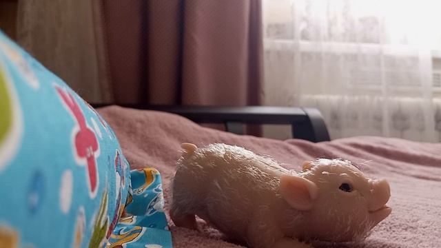 История про то как Нюшу чуть не украли 🙏!
#троюроднаячестраПолигавор#дача# смотреть онлайн