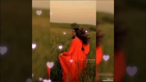 любимая  девушка