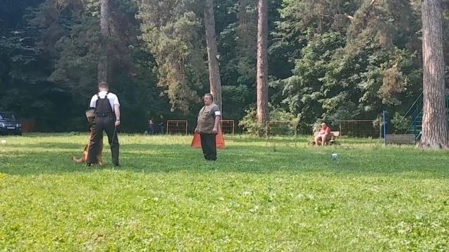 н/изв НОРД ХАРТВИН Супер Агент ++- №11. КЧК ТОЛЬЯТТИ 14 июня`25 Е.Пудеев Моно н/о