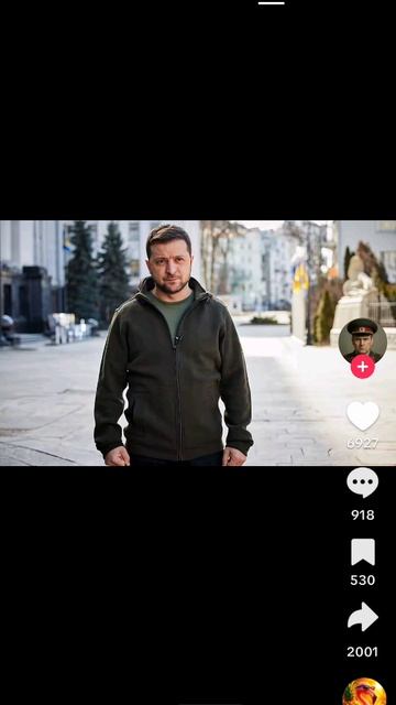 лицо главного гамадрила