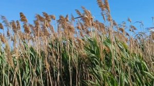 ПО ДОРОГЕ НА САКСКОЕ ОЗЕРО.