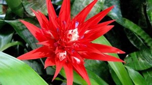 Разум БОГА в первой параллельной Вселенной. 22.03.25.