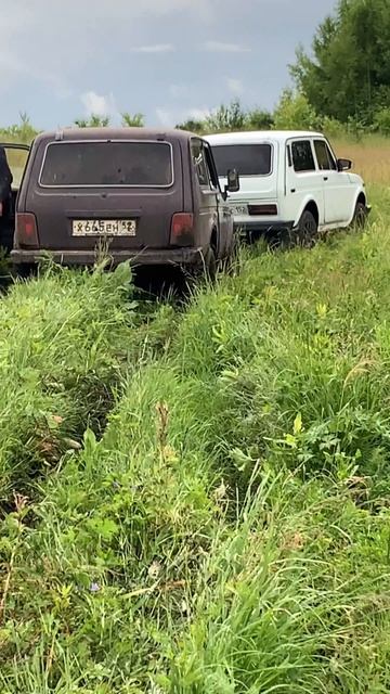 Смысл жизни #нива #4х4 #авто #ваз #перекуп #shorts #BestYappy смотреть онлайн