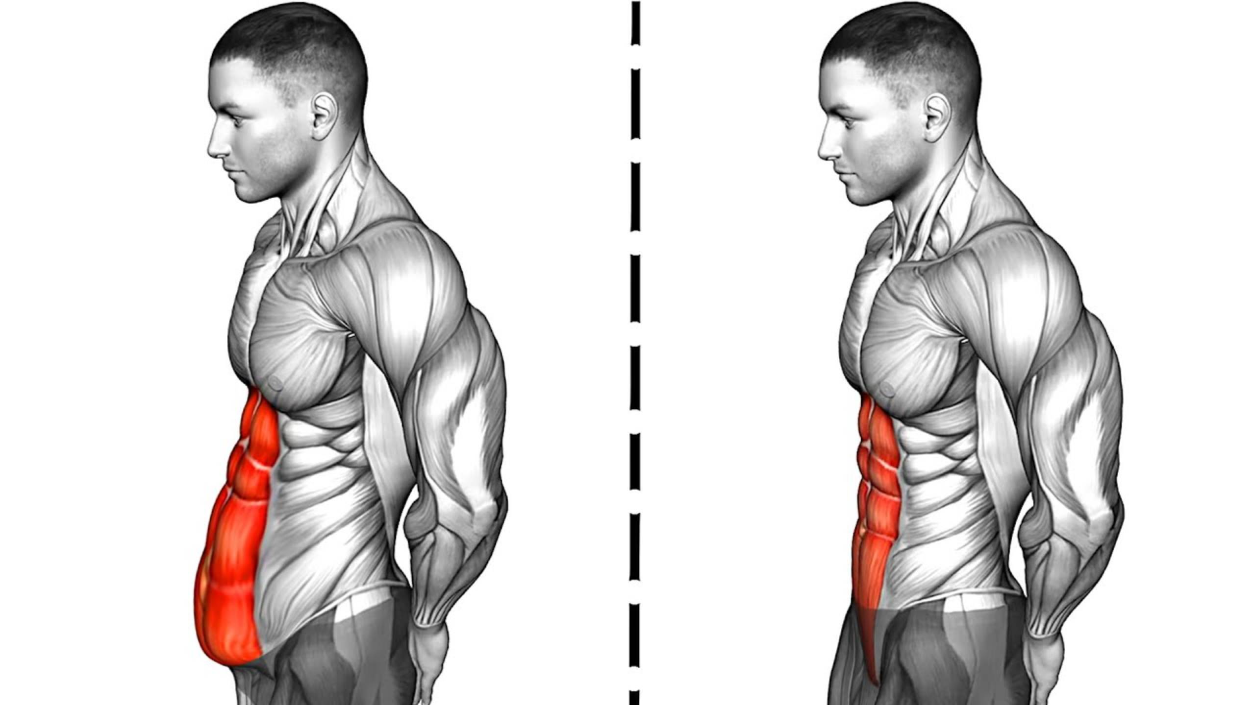 Лучшие Упражнения для избавления от Жира на Животе смотреть онлайн