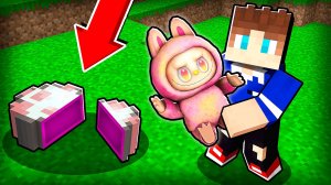 Я УКРАЛ ЯЙЦО ЛАБУБУ И ВЫРАСТИЛ СВОЮ ИГРУШКУ В МАЙНКРАФТ! 😱