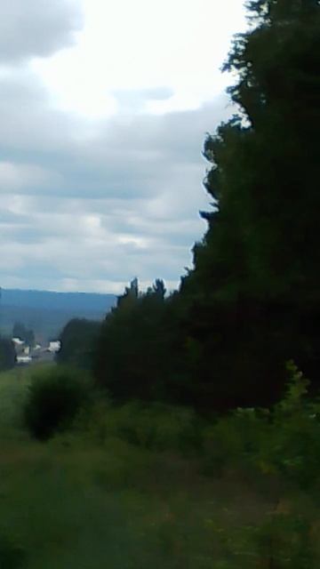 Синие горы на горизонте среди глухой тайги смотреть онлайн