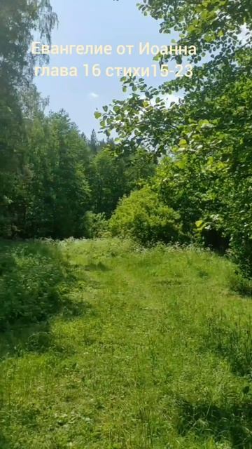 (67) Евангелие от Иоанна глава 16 стих 15-23 смотреть онлайн