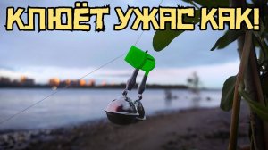 О ТАКОМ Я МЕЧТАЛ ДАВНО! Не думал, что сработает это и выйдет крупное! Рыбалка 2025.