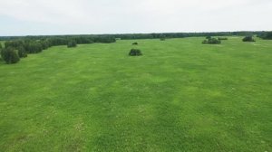 Кочевка на осотовый взяток 2025, такого массива розового осота мы не видели лет 15! Мёд с дикоросов