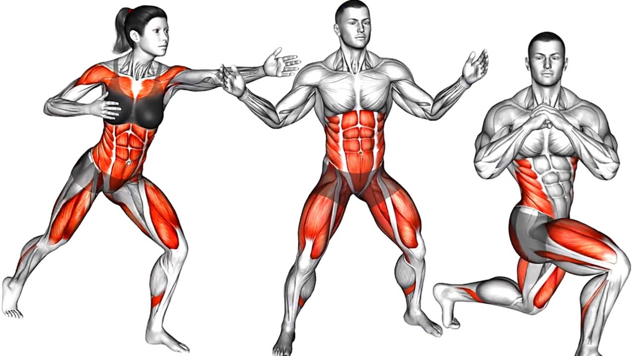 Разминочные Упражнения для начинающих дома смотреть онлайн
