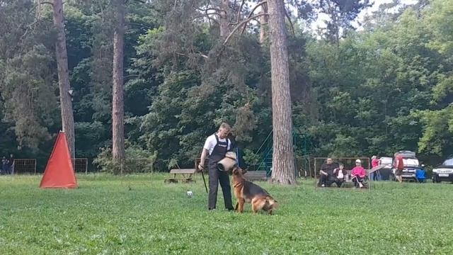 2 Отл. СС Астер Хаус ДЖОКЕР 2 +++ №10. КЧК ТОЛЬЯТТИ 14 июня`25 Е.Пудеев Моно н/о