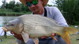 Рыбалка на флэт фидер ловлю карпа и карася