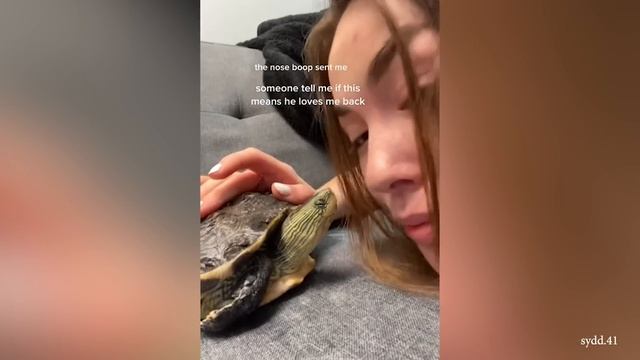 Животные Становятся Братьями В Течение 10 Минут подряд смотреть онлайн