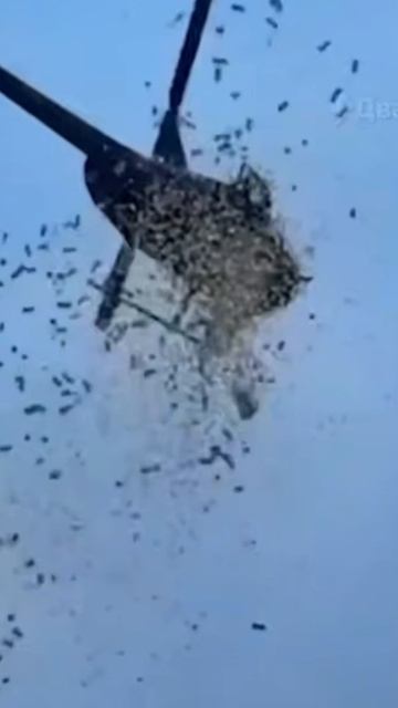 Новости. Только что из вертолёта выбросили доллары. Реакция Василисы. смотреть онлайн