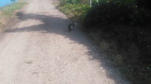 VID_20250628_160821.mp4