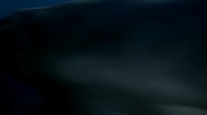 Монстры до Динозавров: Убийцы Древних Океанов и Первая Рыба на Суше!