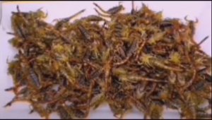 Жареные СКОРПИОНЫ