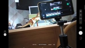 как пользоваться новым стом моушен анимациями