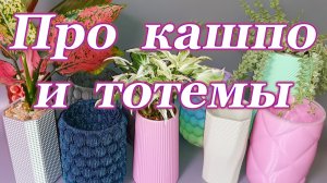 Про  кашпо и тотемы
