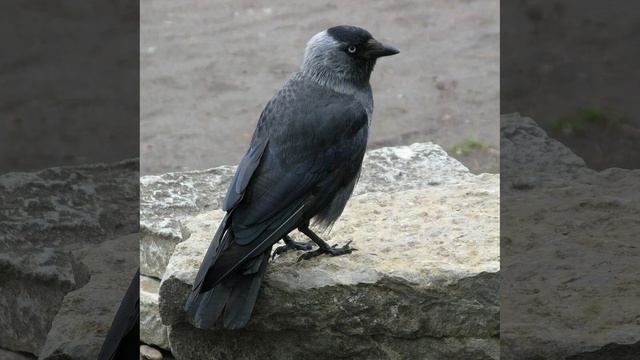 Это интересно-15