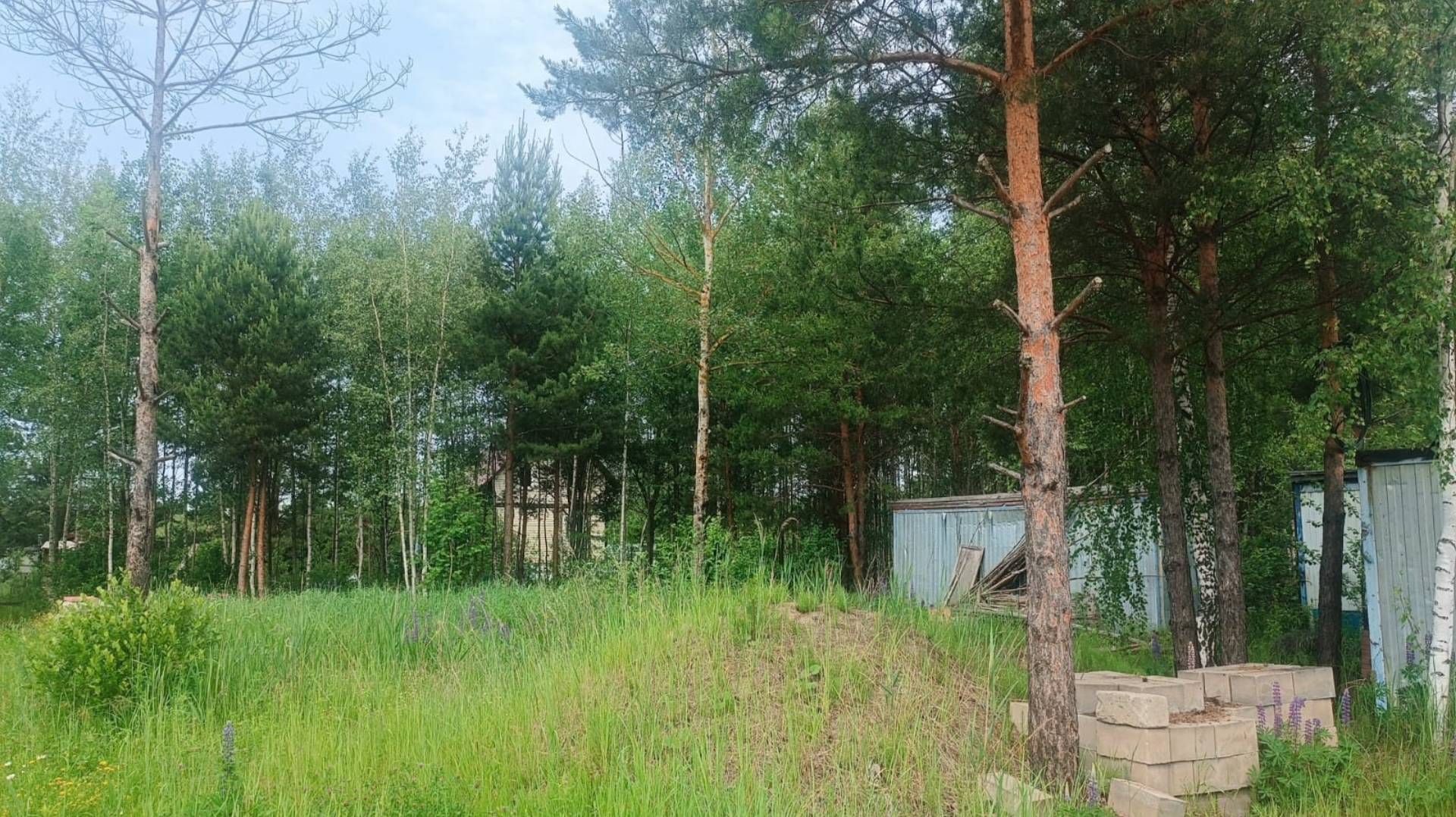 561. Участок 16 соток снт Росинка, г. Электрогорск, Московская область смотреть онлайн