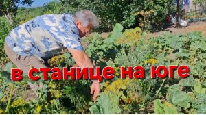 569 🏠 Жизнь в станице. Готовлю рагу из овощей.А они гниют. Влог.