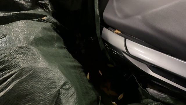 Выписываемся из Куала-Лумпура и едем в Гентинг смотреть онлайн