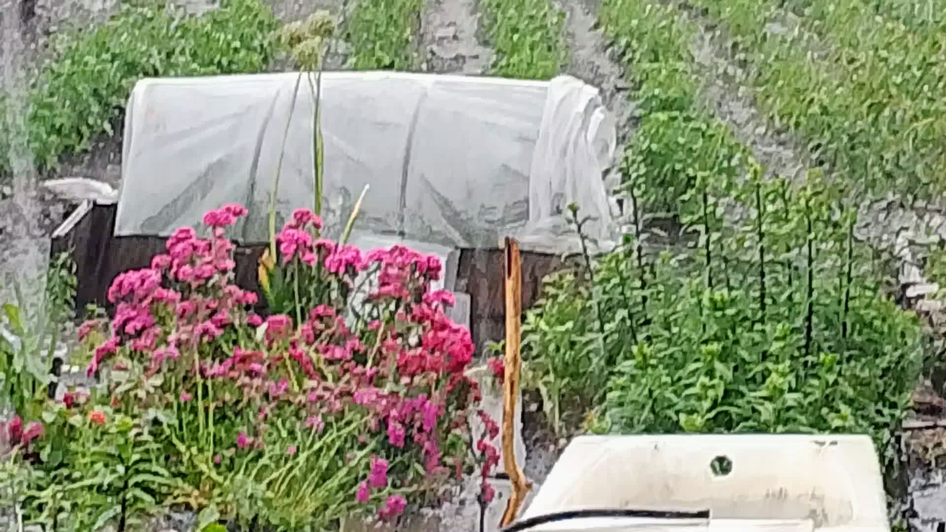 Гром и молнии! Град! Кузбасский городок дрожит под стихией! Только что, налетела непогода! смотреть онлайн