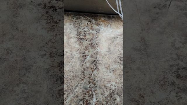 всем привет 👋😊 смотреть онлайн