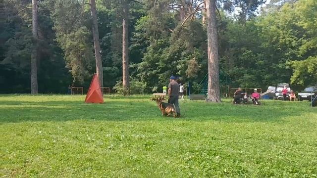 2 Отл. СС Астер Хаус ДЖОКЕР 2 +++ №10. КЧК ТОЛЬЯТТИ 14 июня`25 Е.Пудеев Моно н/о