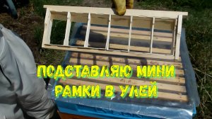 Мини рамки для сотового меда