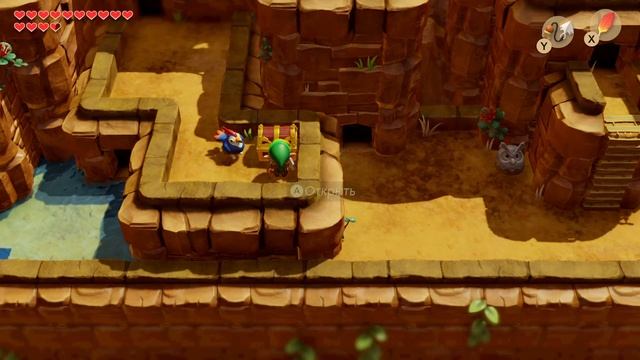 Редкая ракушка в сундуке