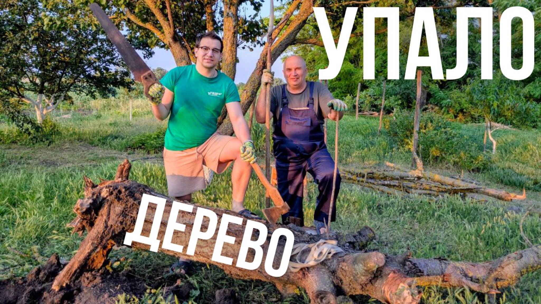 Как мы спасали сад от Падающего дерева! смотреть онлайн