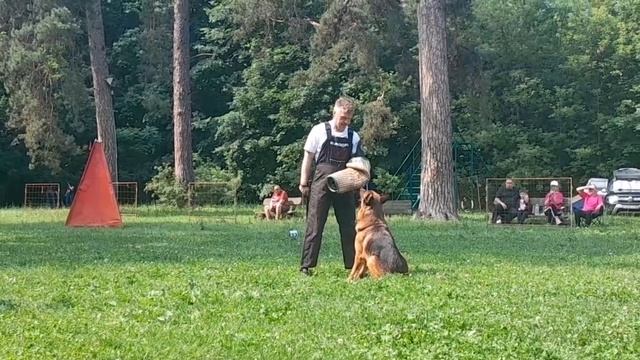 н/изв НОРД ХАРТВИН Супер Агент ++- №11. КЧК ТОЛЬЯТТИ 14 июня`25 Е.Пудеев Моно н/о