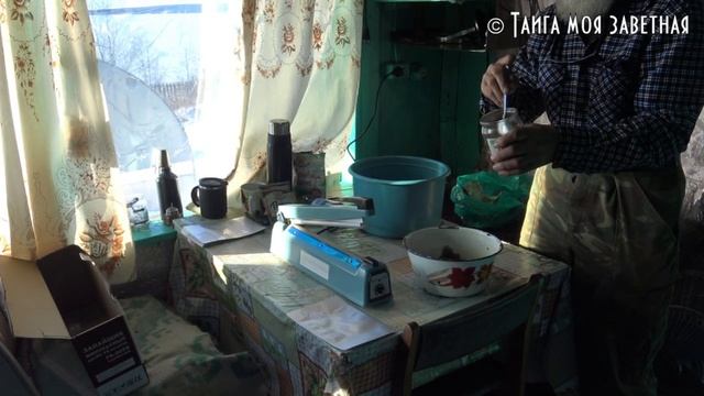 ✔️ Тушенка из дикого гуся в пакете. Готовим с д.Толей и т.Верой смотреть онлайн