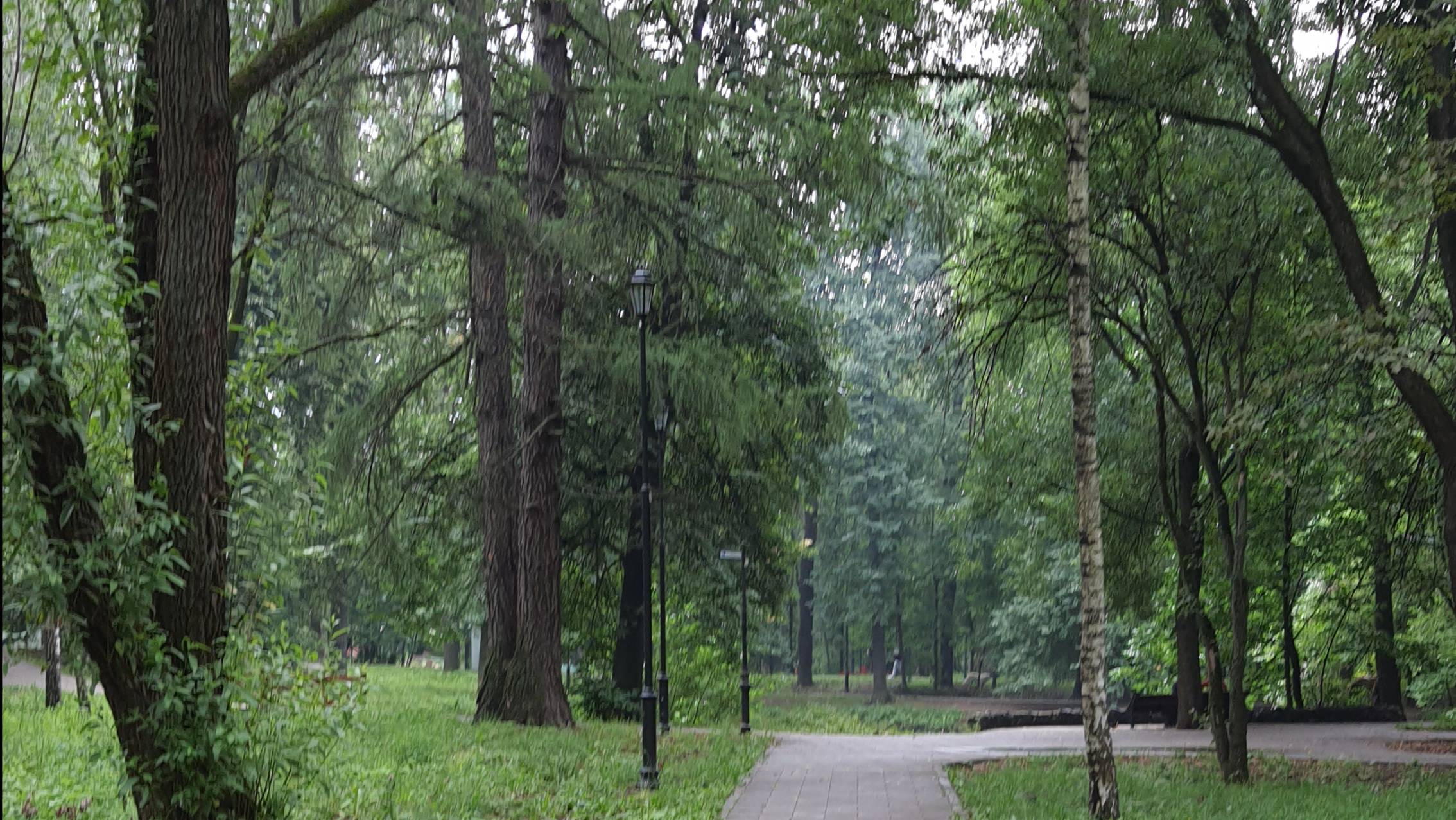 Мой любимый Грачевский парк в Москве.