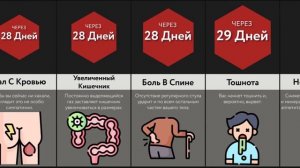 Что Будет, Если Перестать Какать