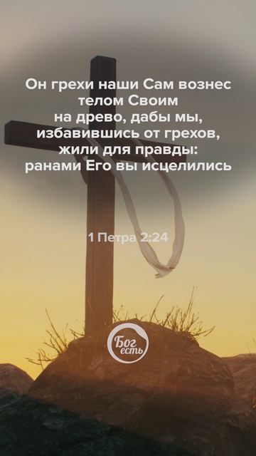 1 Петра 2:24 смотреть онлайн