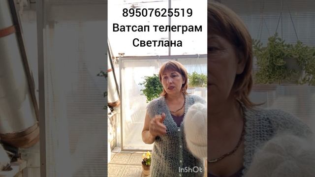 Пуховые ажурные жилетки,кофточки,косынки,шарфы,носочки,перчатки смотреть онлайн