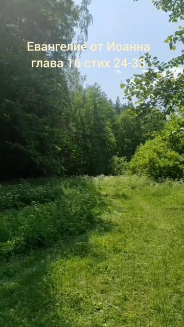 (68) Евангелие от Иоанна глава 16 стих 24- 33 смотреть онлайн